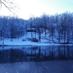 Meet your Posher, Luntariya